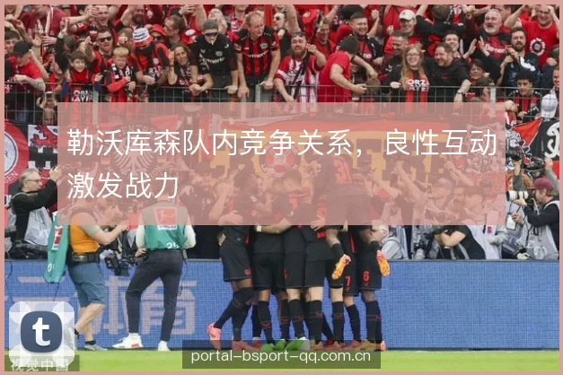 勒沃库森队内竞争关系，良性互动激发战力